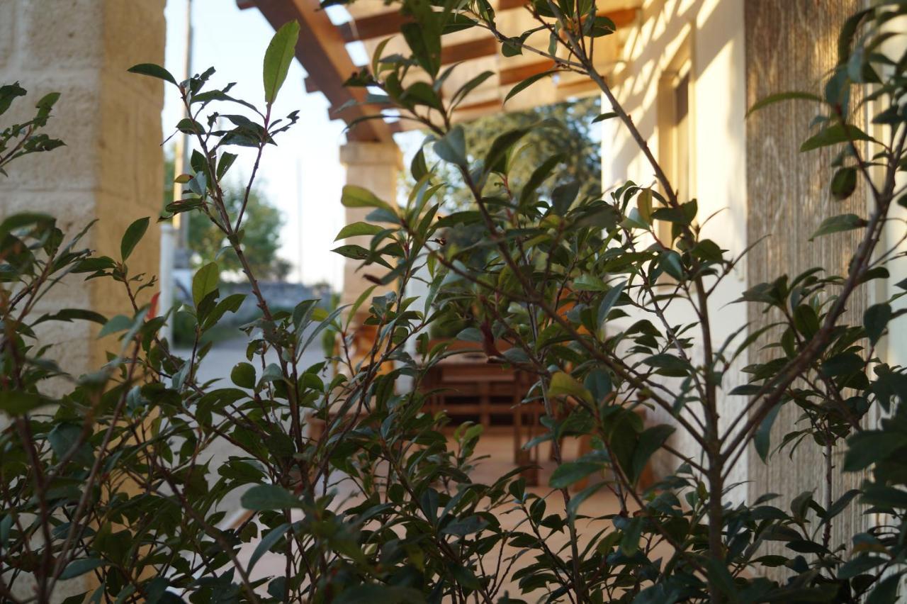 アルベロベッロ La Casa Del Nonno Bed & Breakfast 部屋 写真