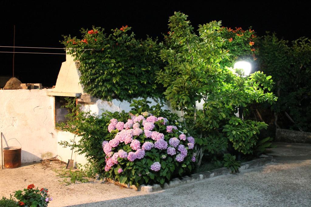 アルベロベッロ La Casa Del Nonno Bed & Breakfast エクステリア 写真